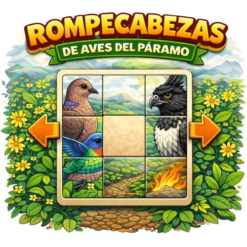 Rompecabezas